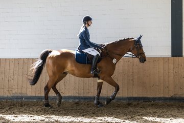 Bild 72 - Pony Akademie Turnier